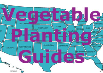 Vegetable planting guides for all 50 states